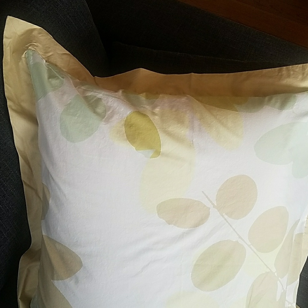 SOLD Anthropologie Euro Sham sets (square)